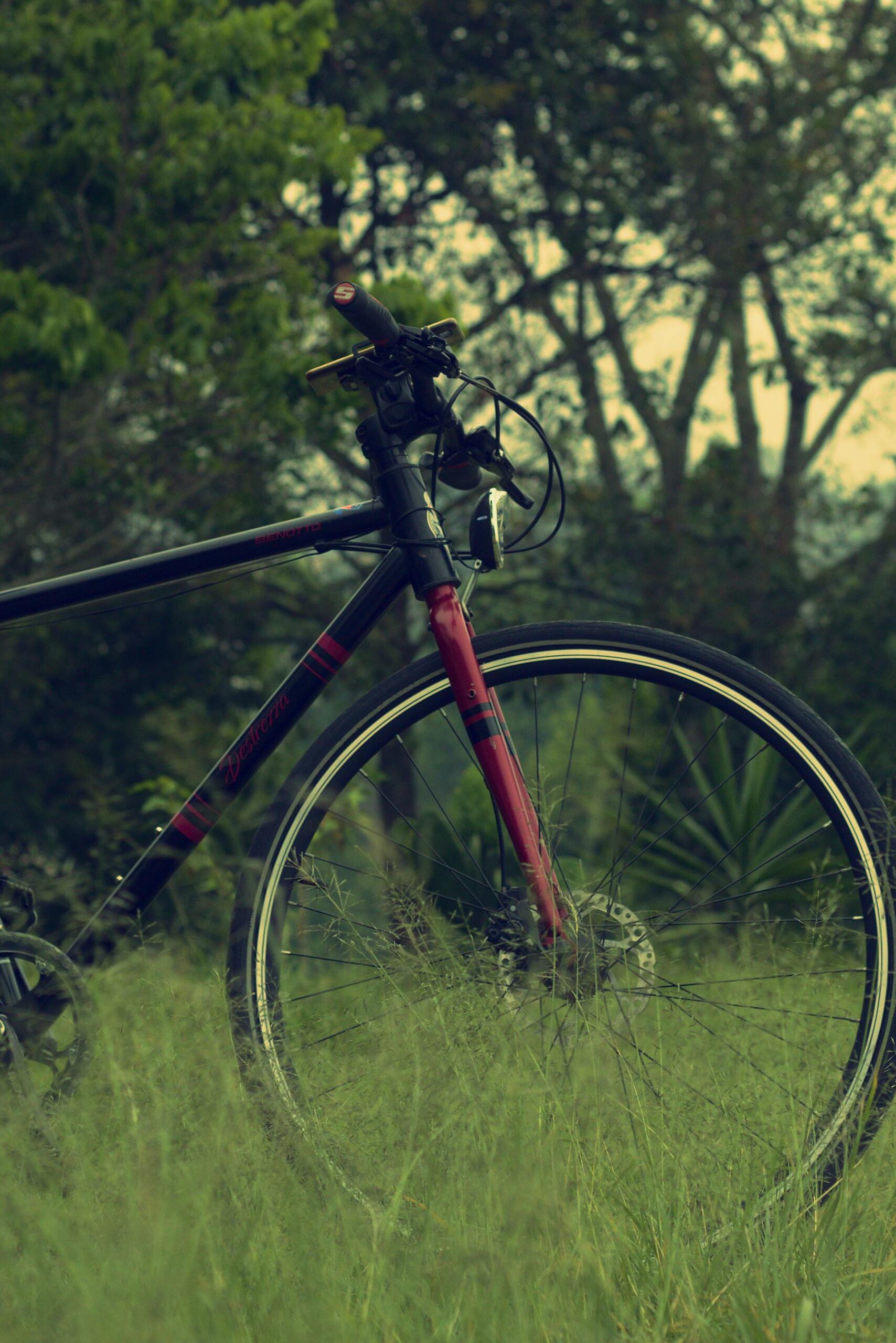 Bicycle Standing in the Meadow